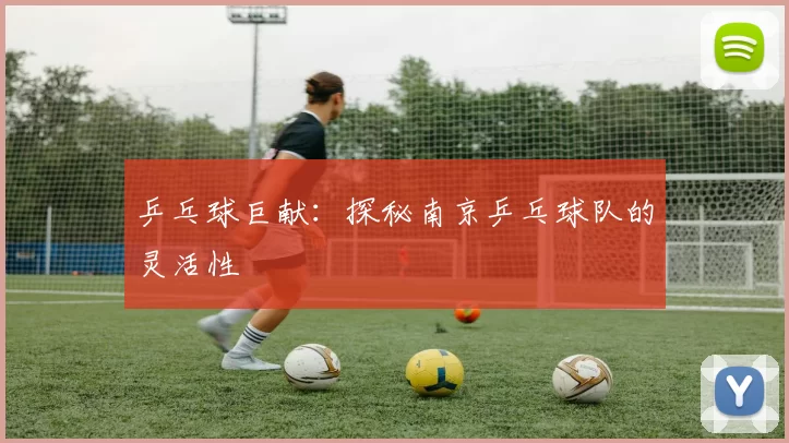 乒乓球巨献：探秘南京乒乓球队的灵活性