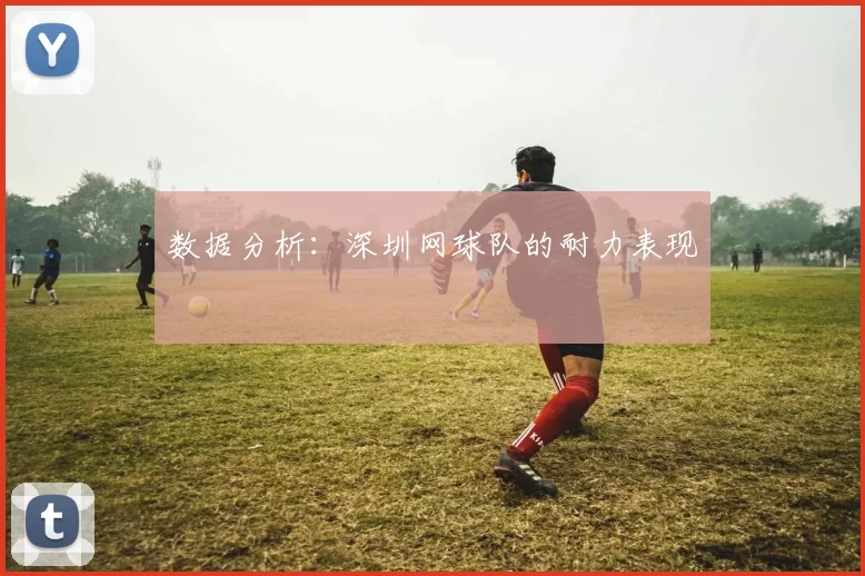 数据分析：深圳网球队的耐力表现