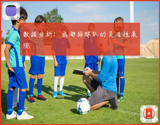 数据分析：成都排球队的灵活性表现