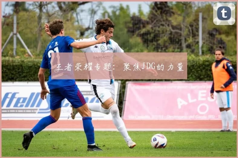 王者荣耀专题：聚焦JDG的力量