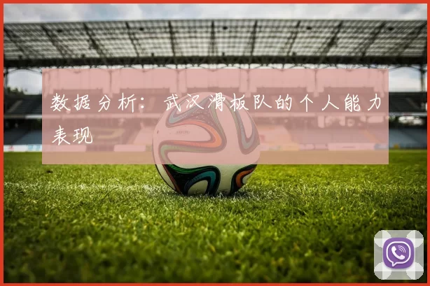 数据分析：武汉滑板队的个人能力表现